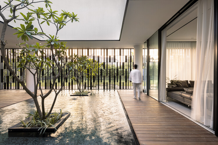 Modern interior with plants and furniture